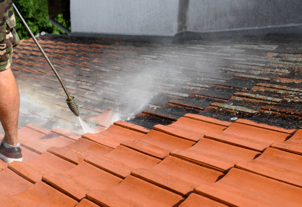 Best Pressure Washing Driveway  in Collinsville, AL