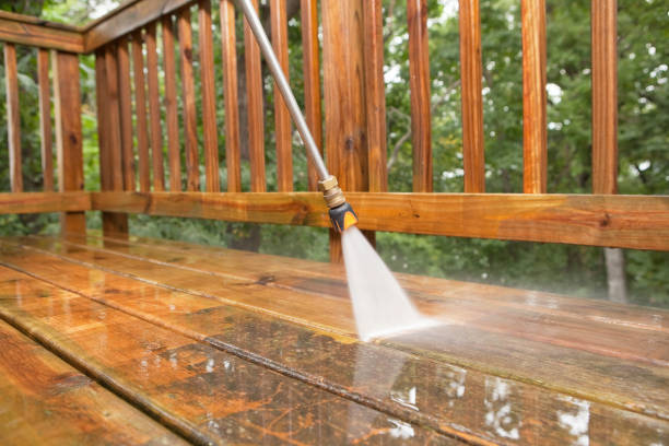 Best Roof Pressure Washing  in Collinsville, AL